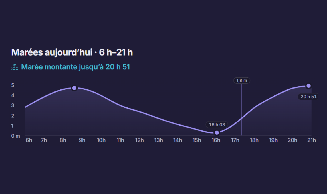Graphique des marées du jour, avec une basse mer à 16 h 03 et une marée montante jusqu’à 20 h 51.